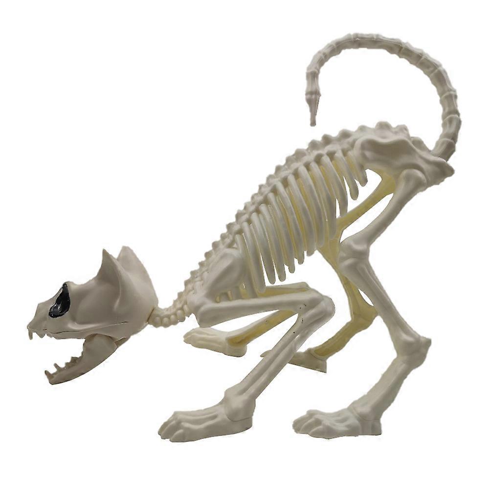 Cat Skull Model Creepy Animal Bones Halloween Decorations White 30 x 17 x 5 cm Decoration 1Set