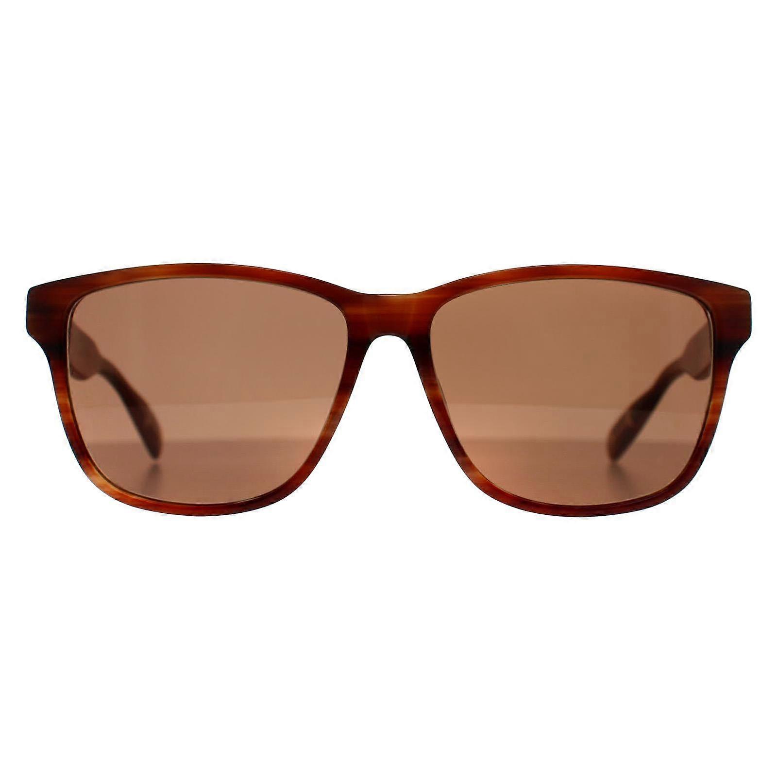 Ted Baker Sunglasses TB8232 151 Brown Horn Brown