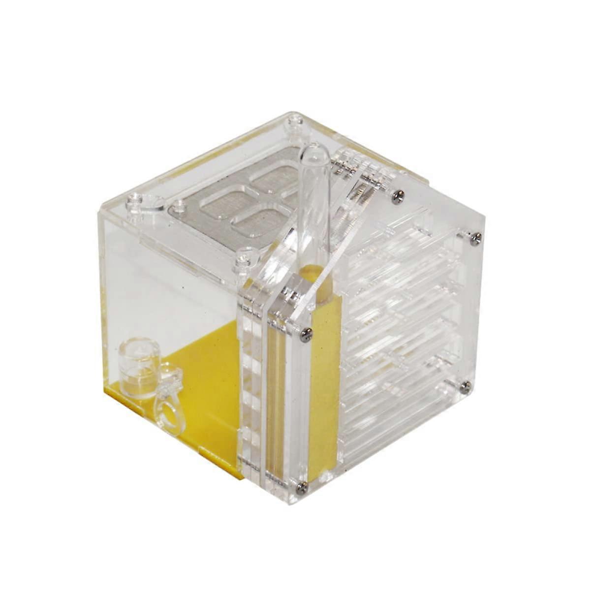 Incubator Ant Nest Large Ant Breeding Box Acrylic Material Safe and Comfortable Ant Nest