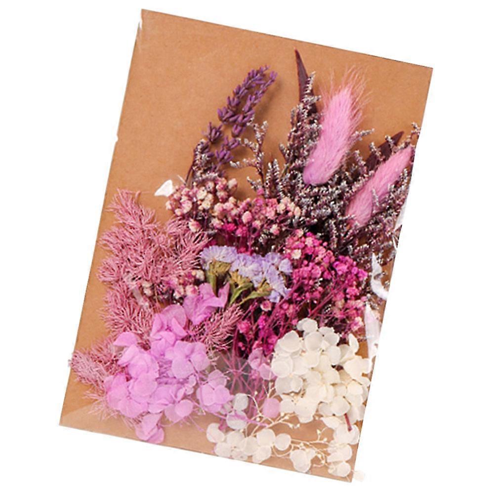 Assorted Color Dried Flowers DIY Crafts Making Set 2Pcs 1 Bag for Decor