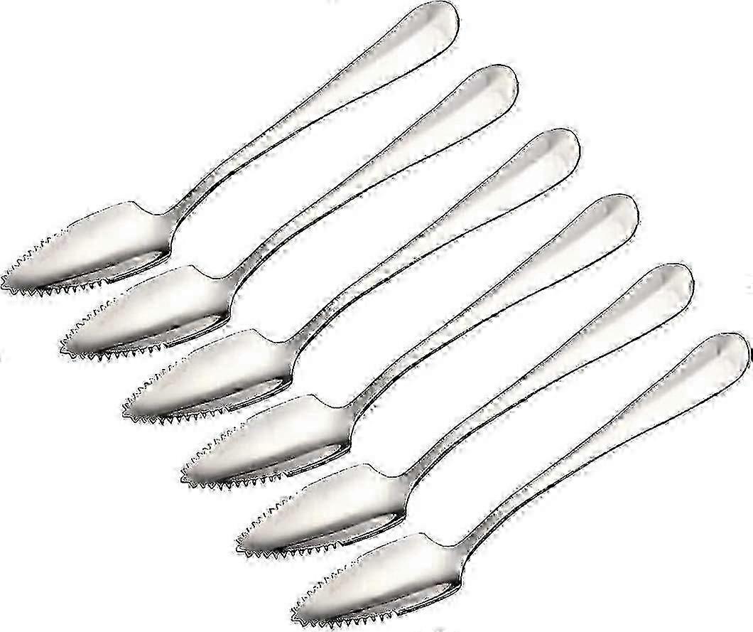 Cuillères à pamplemousse en acier inoxydable, ensemble de 6 dentelés