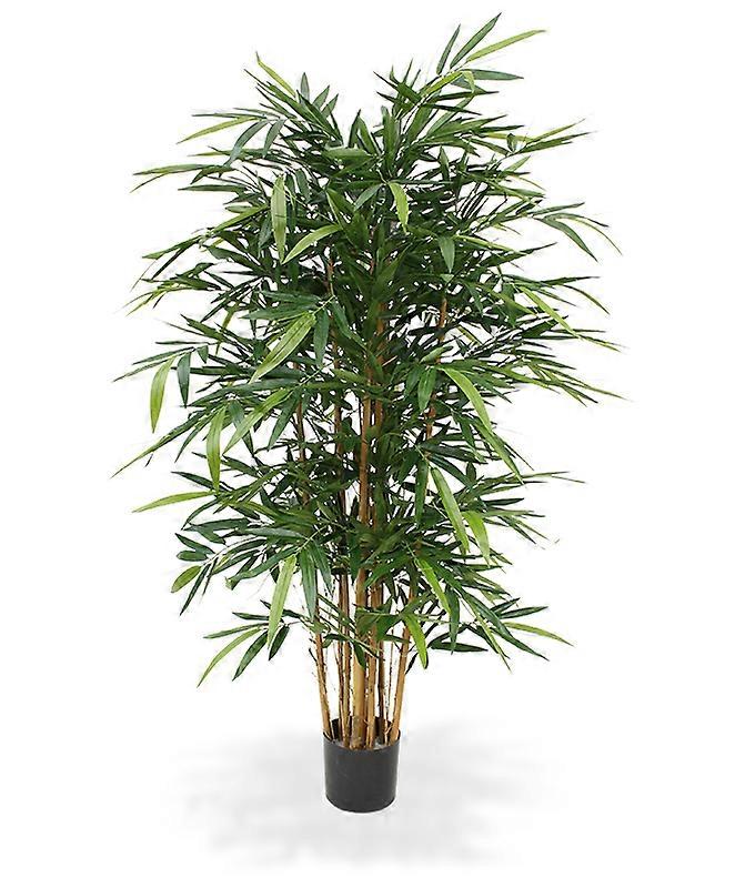 Bamboo (150 cm)
