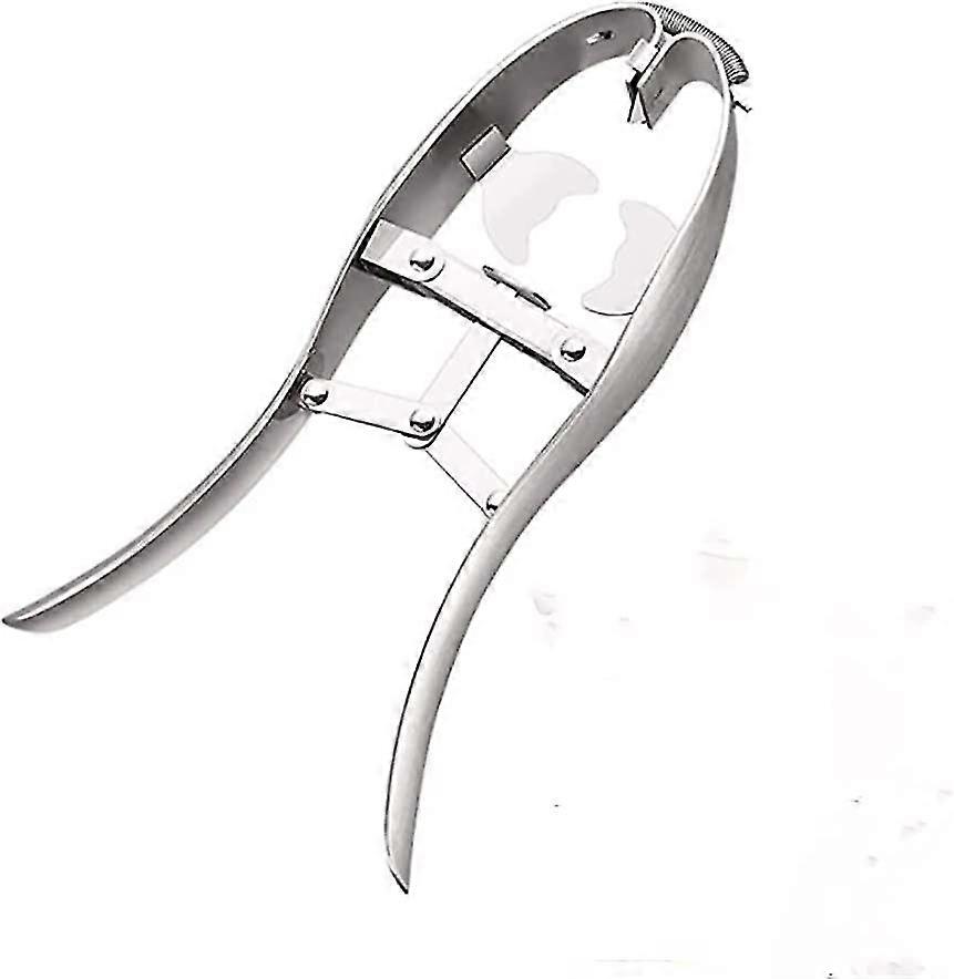 Egg Cracker, Stainless Steel Egg Opener, Automatic Egg Cracker Tool, Simple Gift