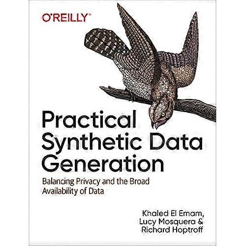 Practical Synthetic Data Generation: Balancing Privacy and the Broad Availability of Data