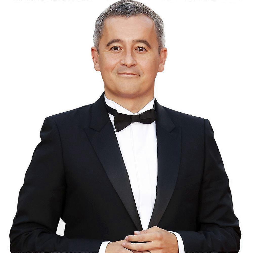 Gerald Darmanin (Fluga) Halvkropp Buddy Cutout