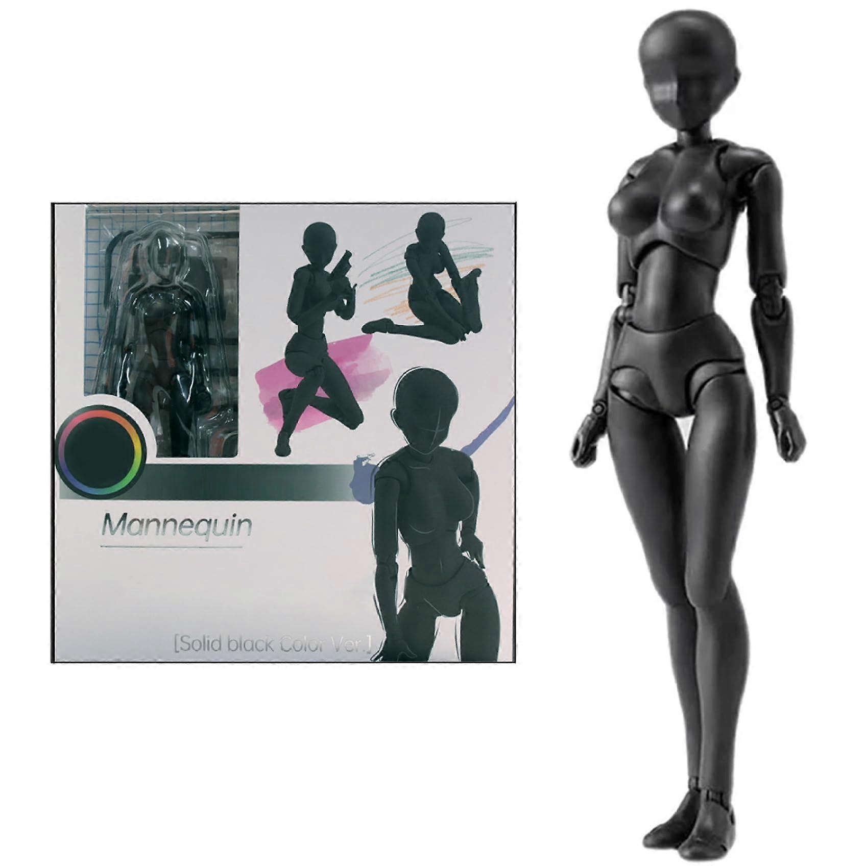 Drawing Mannequin, PVC Simulated Skill Manikin, DIY Articulated Drawing Figure, Drawing Model for Sketching Painting Artists (Female)