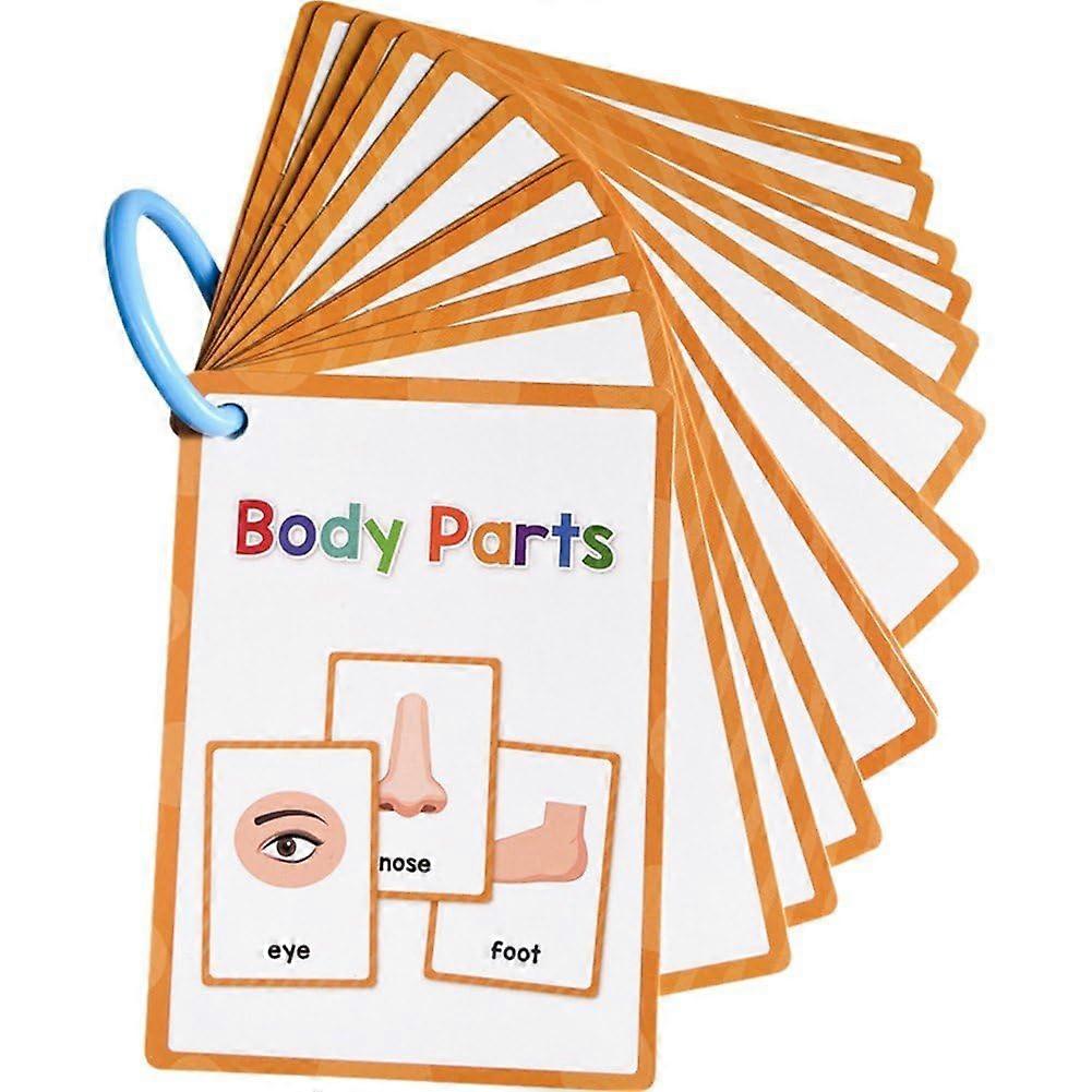 Flashcards for Learning Body Parts, Teaching Materials for Nursery, Learning Materials for Autism, Vocabulary Building 15 Cards