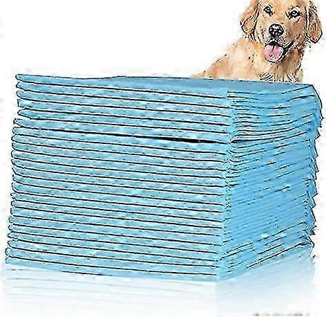 20 Pack XL Super Absorbent Dog Training Pads 60x90cm, Puppy Pee Pads for Indoor Use & Floor Protection