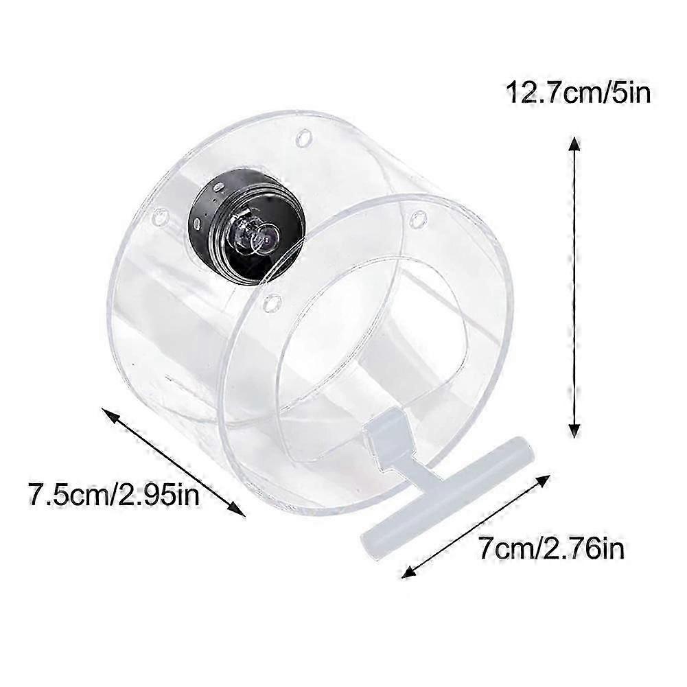 Smart Bird Feeder with Built-In Camera - Outdoor Hanging Feeder for Garden Wildlife Watching