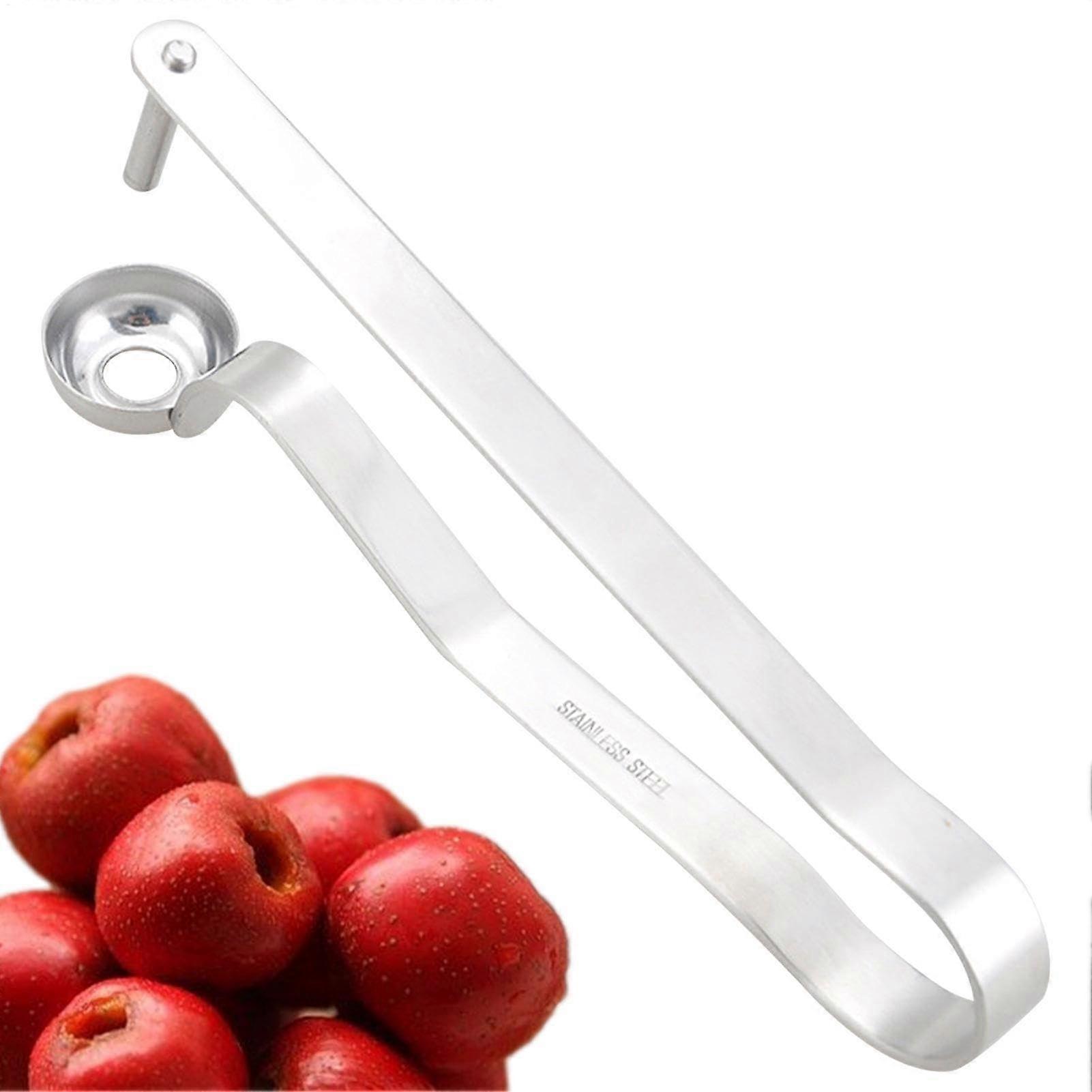Cherry Pitter and Olive Pitter with Quick Seed Removal, Durable Metal Fruit Corer Tool