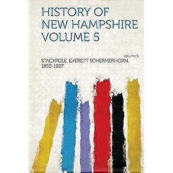 Geschiedenis van New Hampshire, deel 5