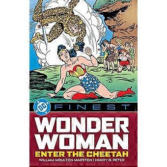 DC Finest Wonder Woman Enter the Cheetah