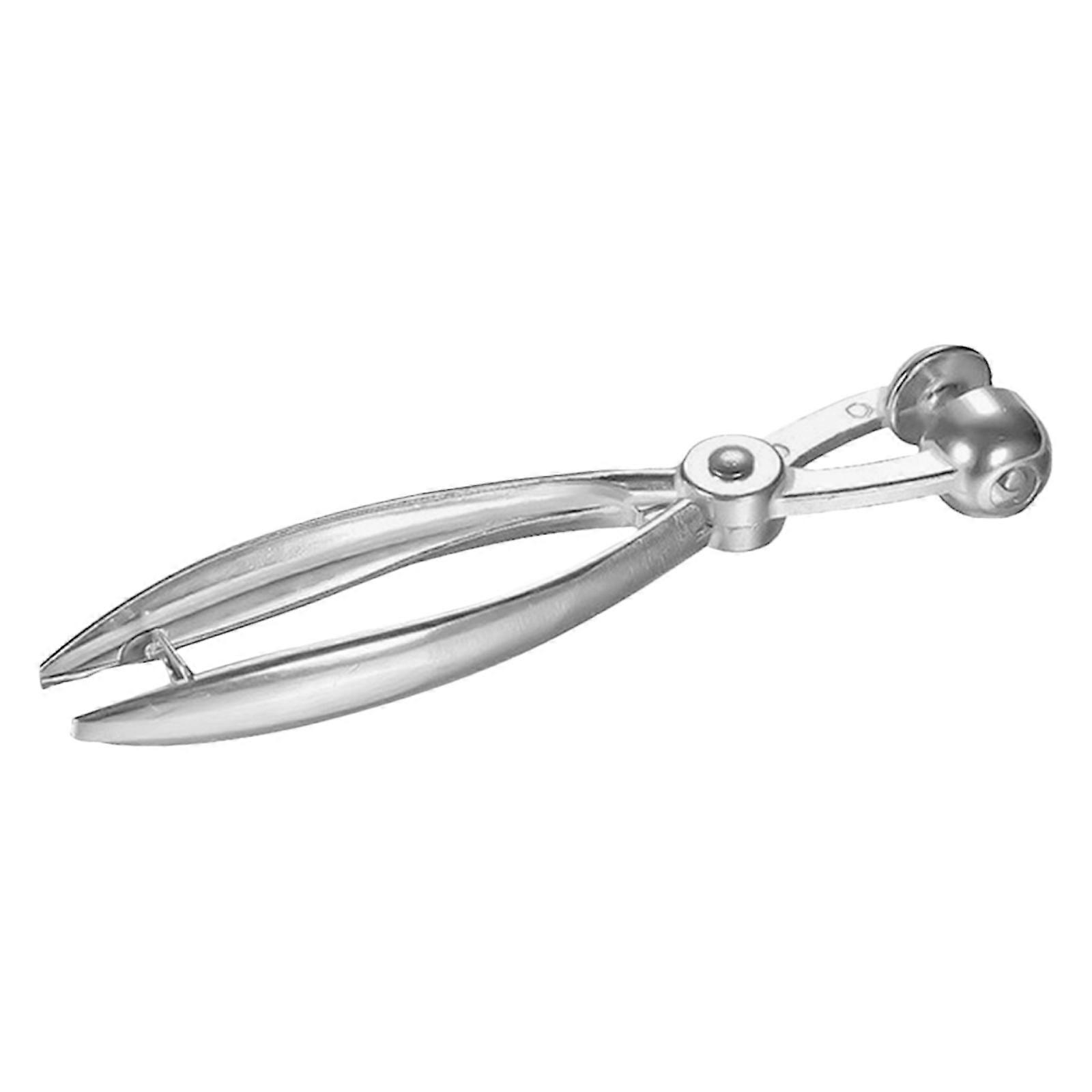 Fruit Cherry and Olive Pitter