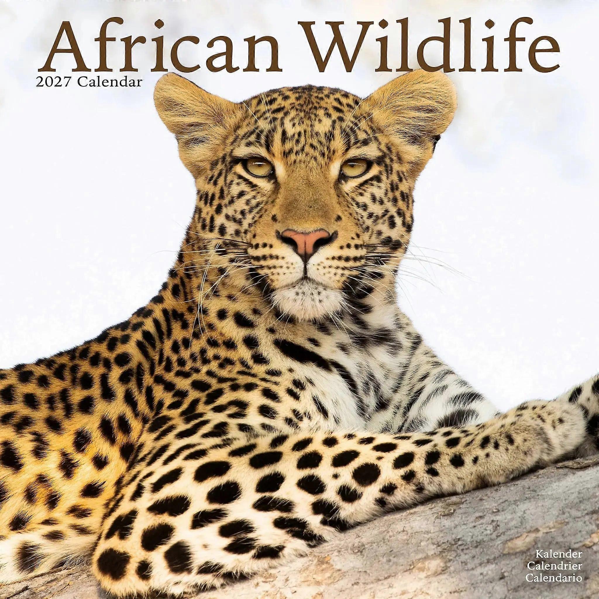 Avonside African Wildlife Calendar 2026