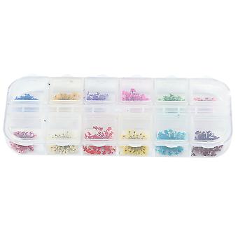 12Colors Nail Decoration Real Dried Flower Manicure Gel Tips Design Accessories & Box