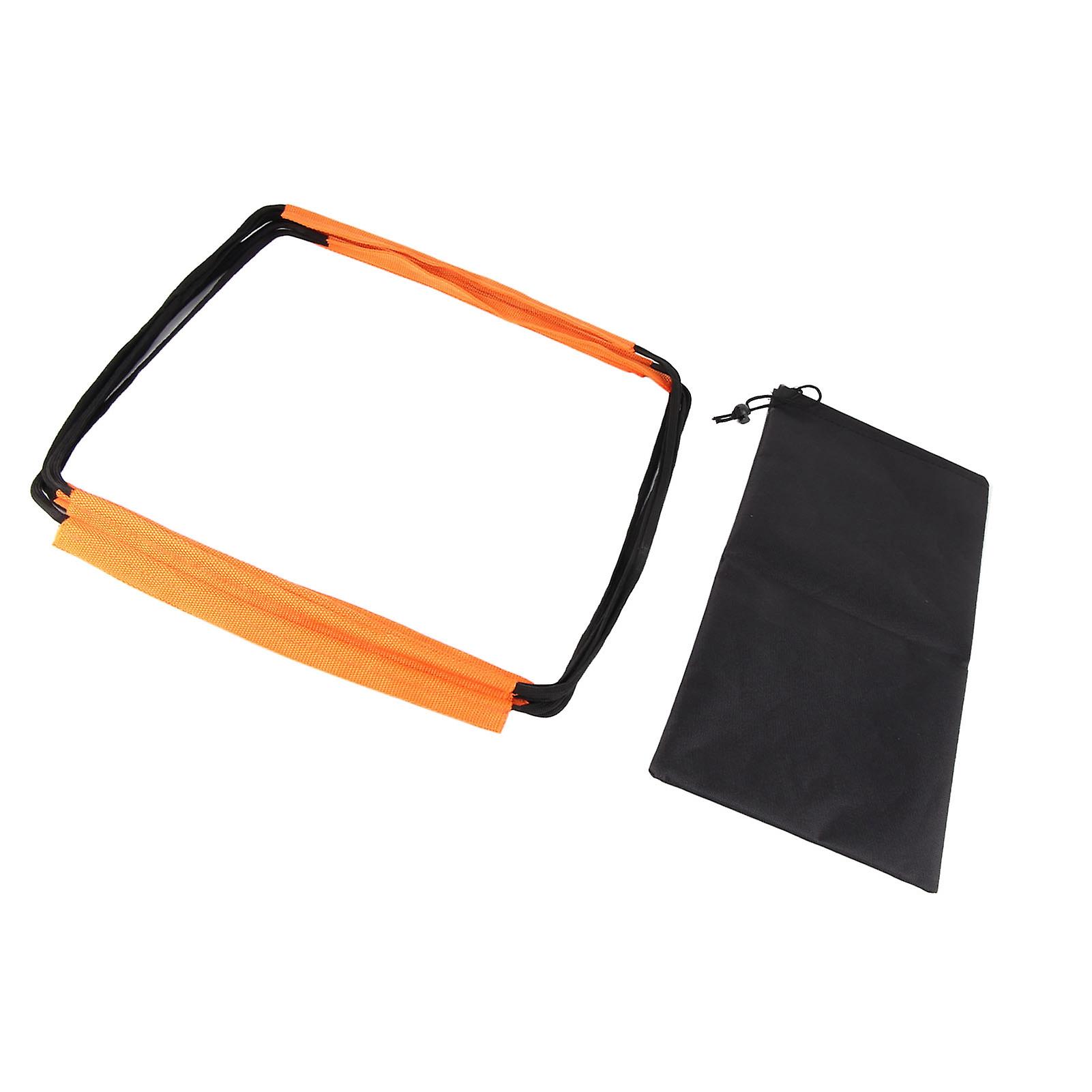 Agility Ladder Spring Steel Exercise Sensitivity Improve Coordination Speed Training Exercise Ladders for Kids 6 Rungs