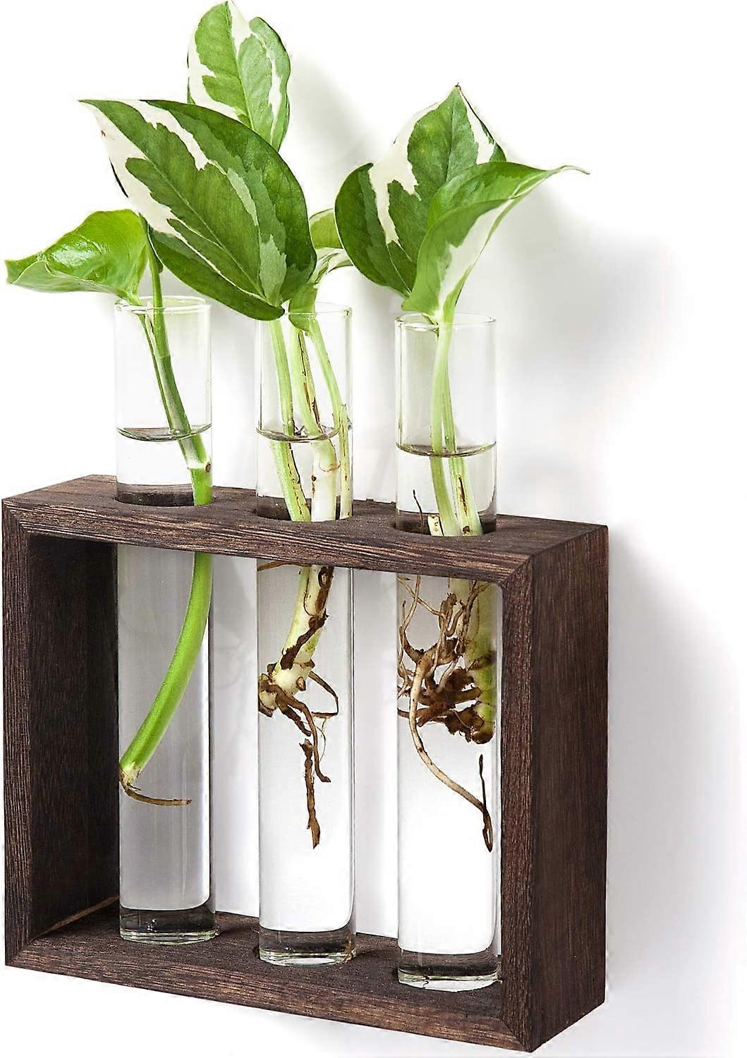 وعاء زهور زجاجي مثبت على الحائط ، وعاء زجاجي نباتي ، إناء برعم زهور حديث في حامل خشبي