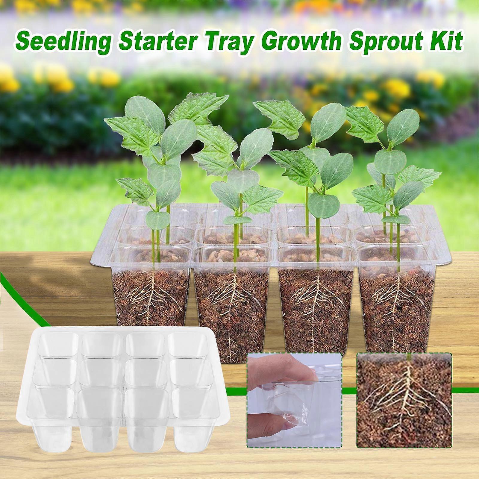 Reusable Transparent Plastic Seedling Starter Growth Germination Tray With Hole