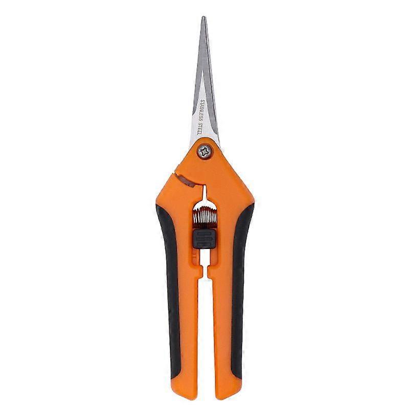Pruner Tools Stainless steel pruner (straight box)