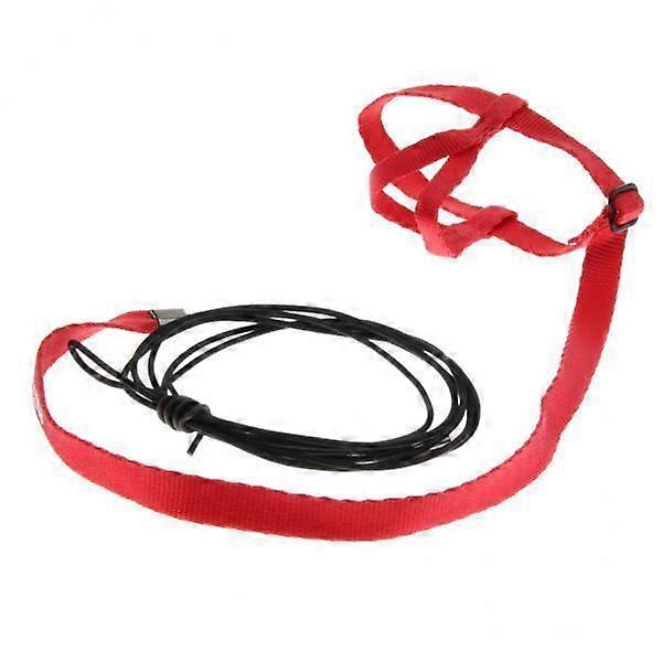 5xParrot Bird Leash Outdoor Adjustable Harness Training Rope Random