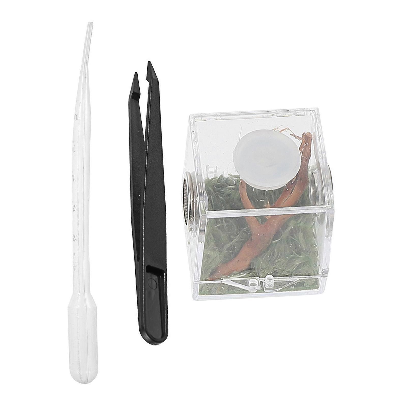 Acrylic Spider Hatching Container Reptile Feeding Box for Storage 1Set