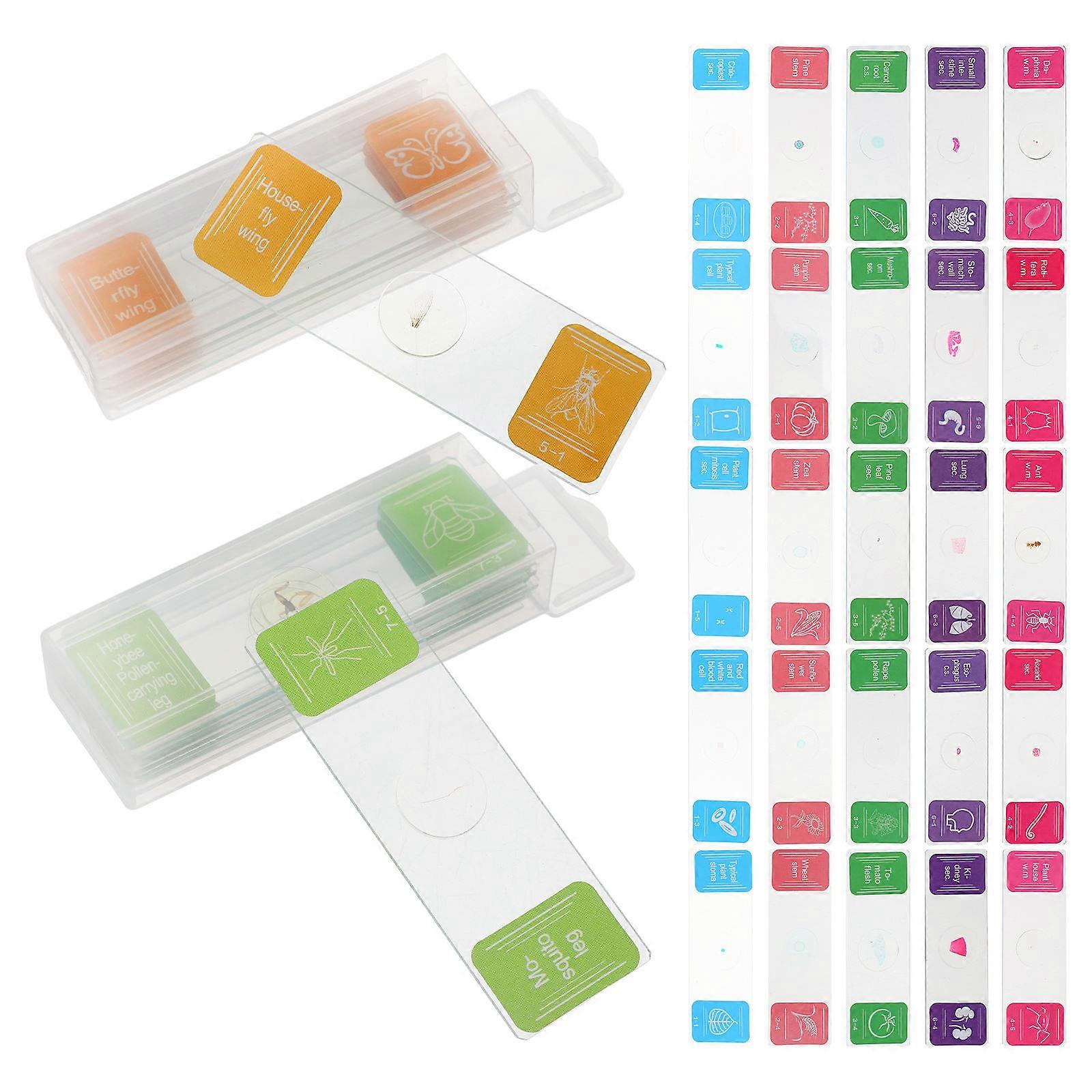 Glass Microscope Slides for Microscope Use 35Pcs Clear Laboratory Set