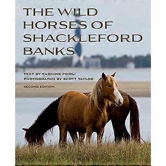 Shackleford Banksin villihevoset