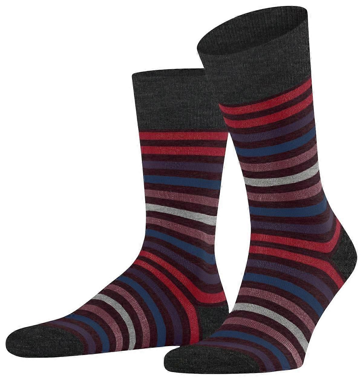 Falke Tinted Stripe Socks - Burgundy