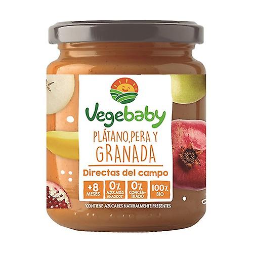 Banana, Pear and Pomegranate Puree 190 g