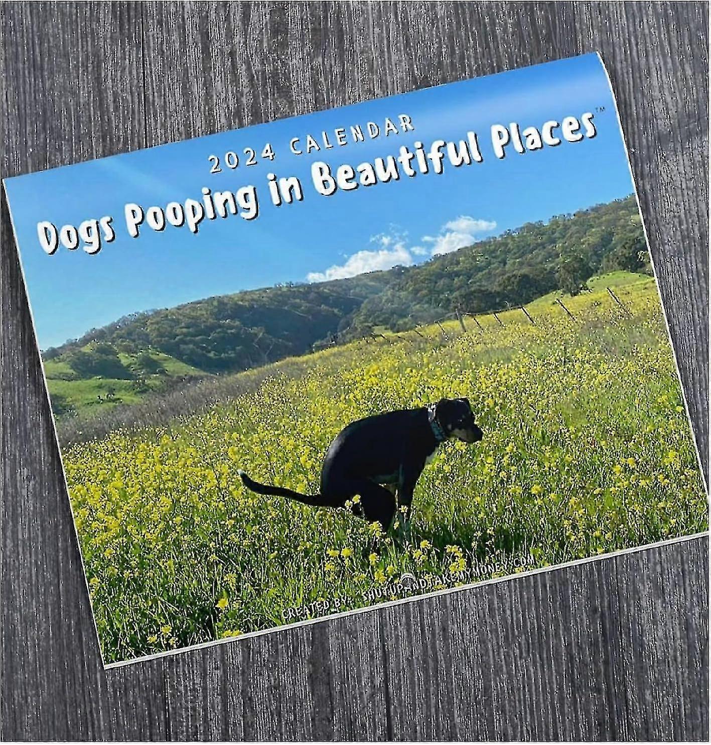 2024 , Dogs Poo In Places , Dog Poo , Art Gag Humor Prank