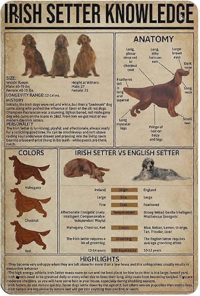 Great Pyrenees Knowlegde Metal Tin Sign Artwork Poster Outdoor Sign Vintage Decor Plaque Poster Cave Garage Pub Bar Kitchen Home Decoration 16"x12"