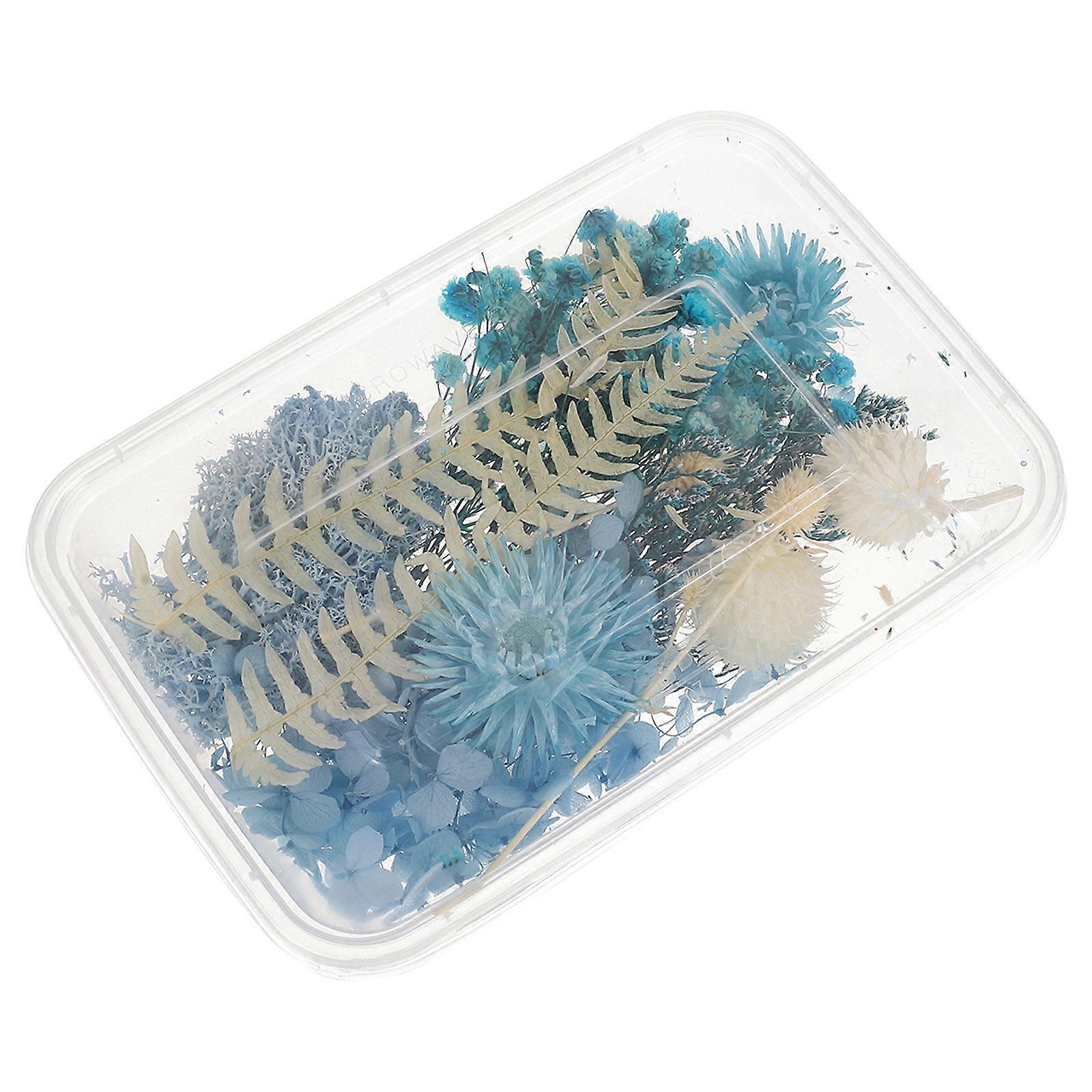 Dry Flowers Picture Frame Artists Hobbyists Set