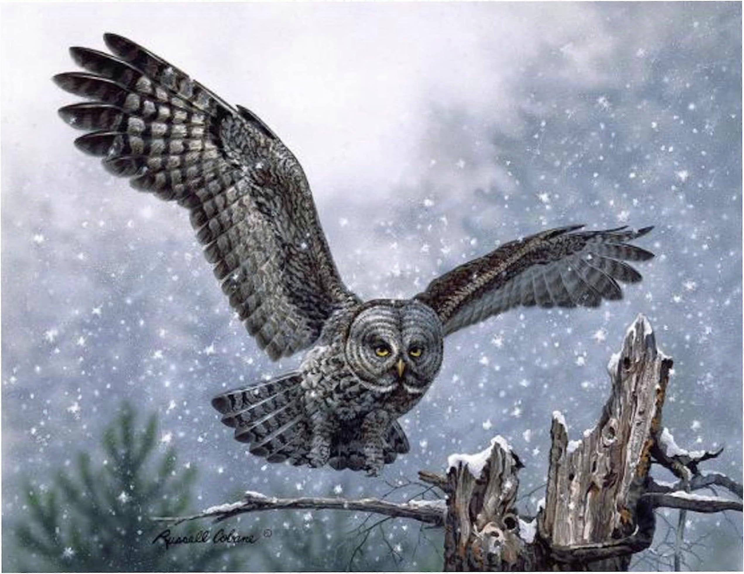 ギフトエッセンシャル1000ピースパズル、雪の着陸-流木のWOL、キッズスタイル667