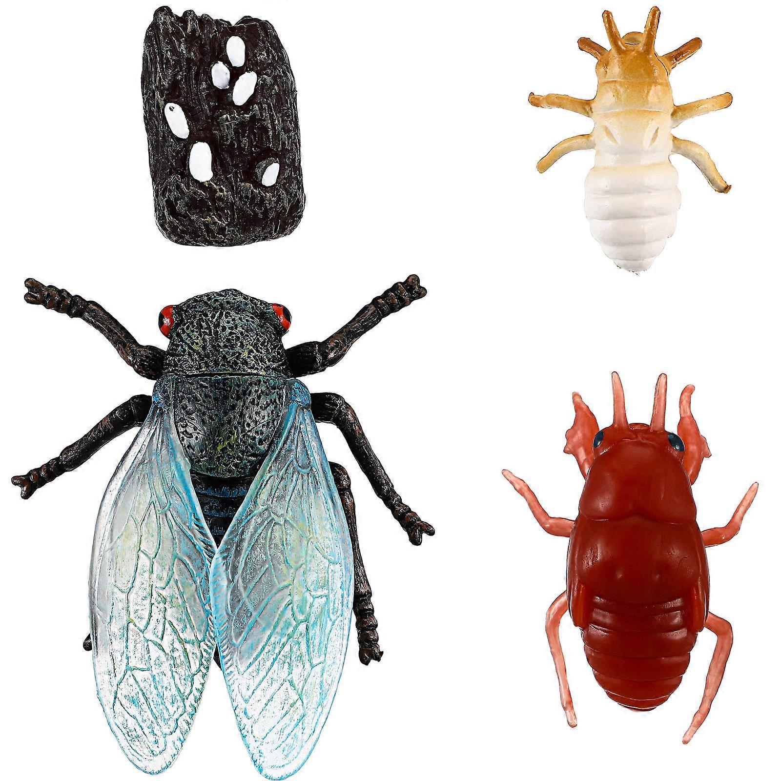 Realistic Cicada Life Cycle Figurines for Educational Science Learning, Detailed Insect Models for Teaching, Desktop Decor & Party Favors