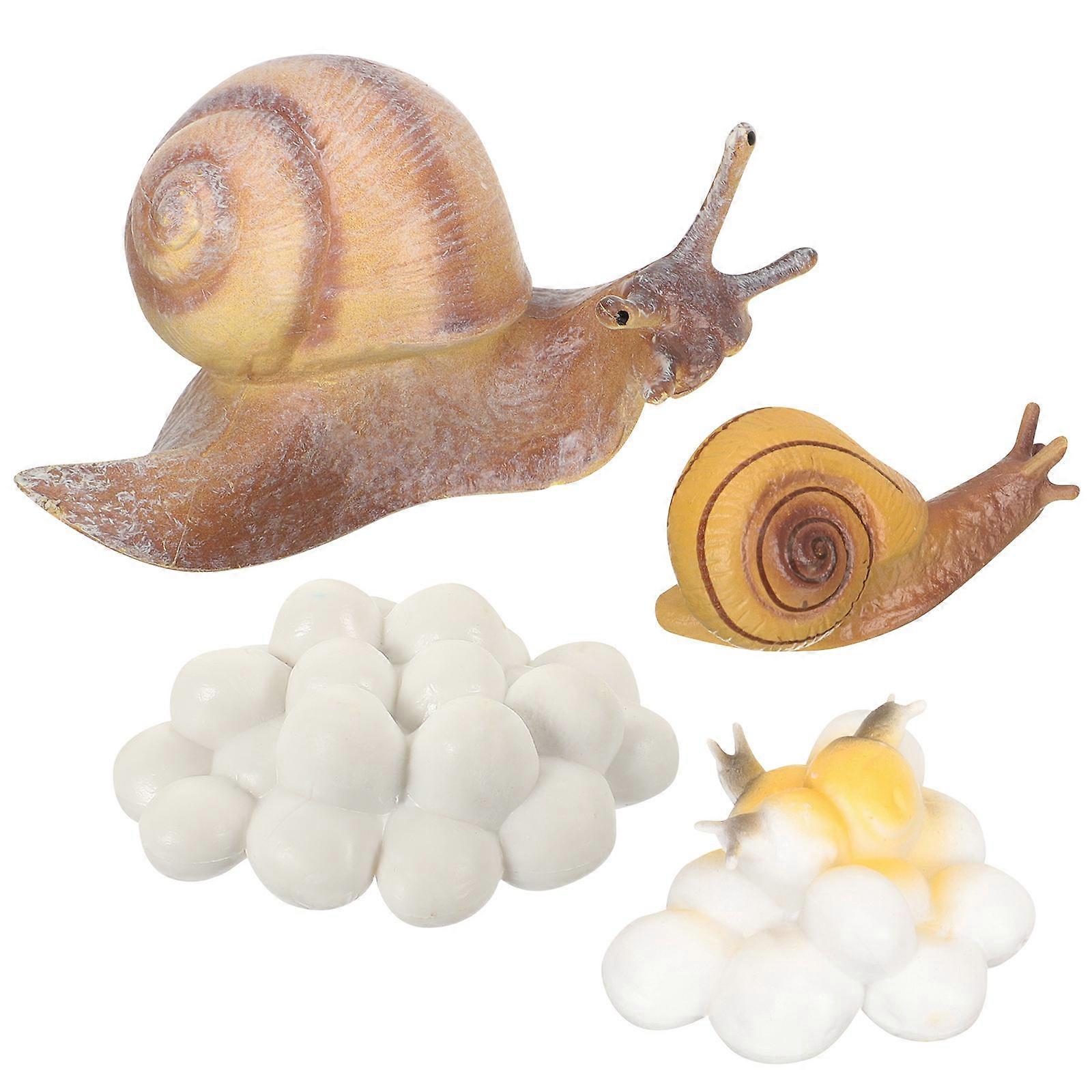 Snail Model Creative Snail Growth Toys for Kids 3Sets Lifelike Learning Models