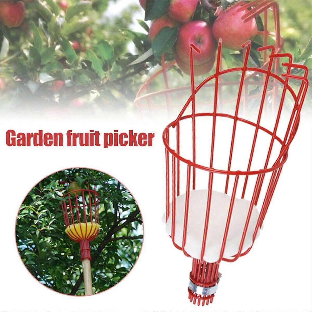 Fruit Picking Machine
Practical Fruit Picker