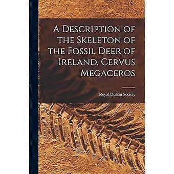 Beskrivelse av skjelettet til den fossile hjorten i Irland, Cervus megaceros
