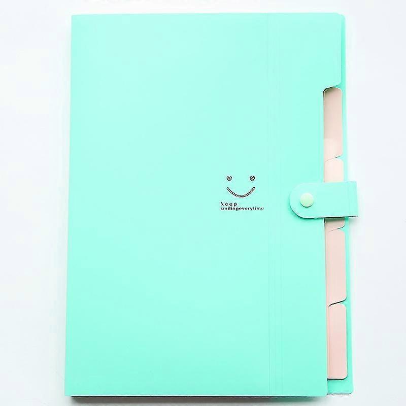 Extended Document Folder A4 Size File Manager With 5 Pockets