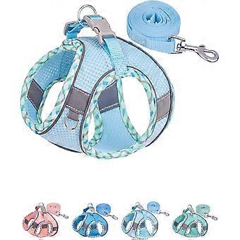 Dog Harness for Small Medium Dogs No Pull, Puppy Harness and Leash Set, Easy Walk Dog Harness for Walking, Running, Training (Light Blue, XXS)