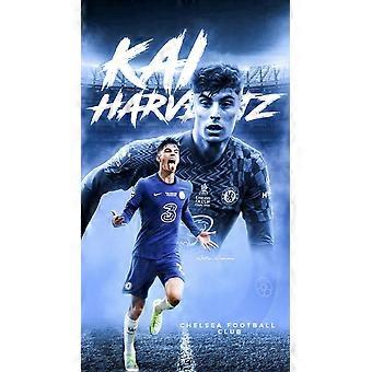 Kai Harvetz jigsaw puzzle game for adults and kids SD277