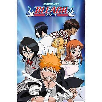 BLEACH MANGA Puzzles TD715