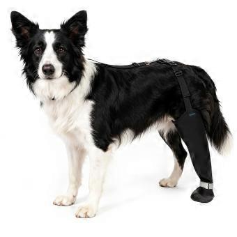 Licking Proof Dog Rear Leg Cover with Full Paws and Toe Coverage, Soft Construction, and Adjustable System for Leg Protecting  XL