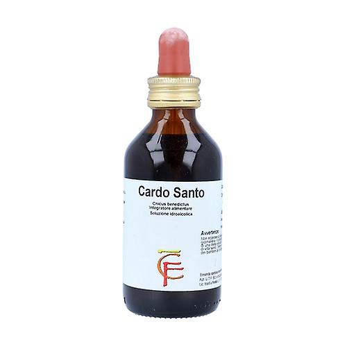 Cardo Santo Hydroalcoholic Solution 100 ml