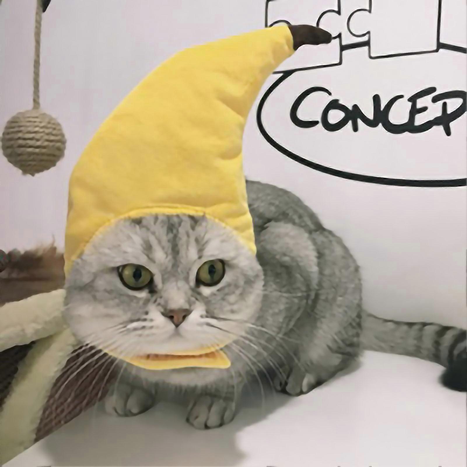Pet Hat Light Weight Polyester Soft Comfortable Portable Cute Cat Cap for Cats Dogs