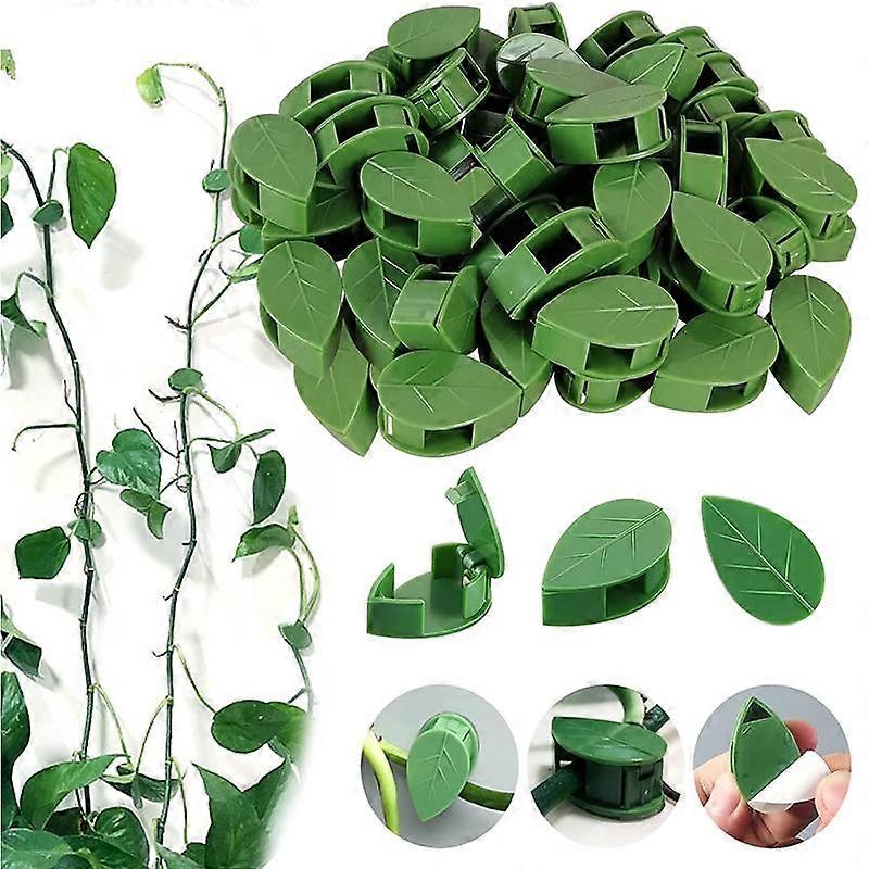 30Pcs Plant Rattan Climbing Fixing Clip Self-Adhesive Invisible Multifunction Garden Hook Vines Climb Support Wire Fixing Clip