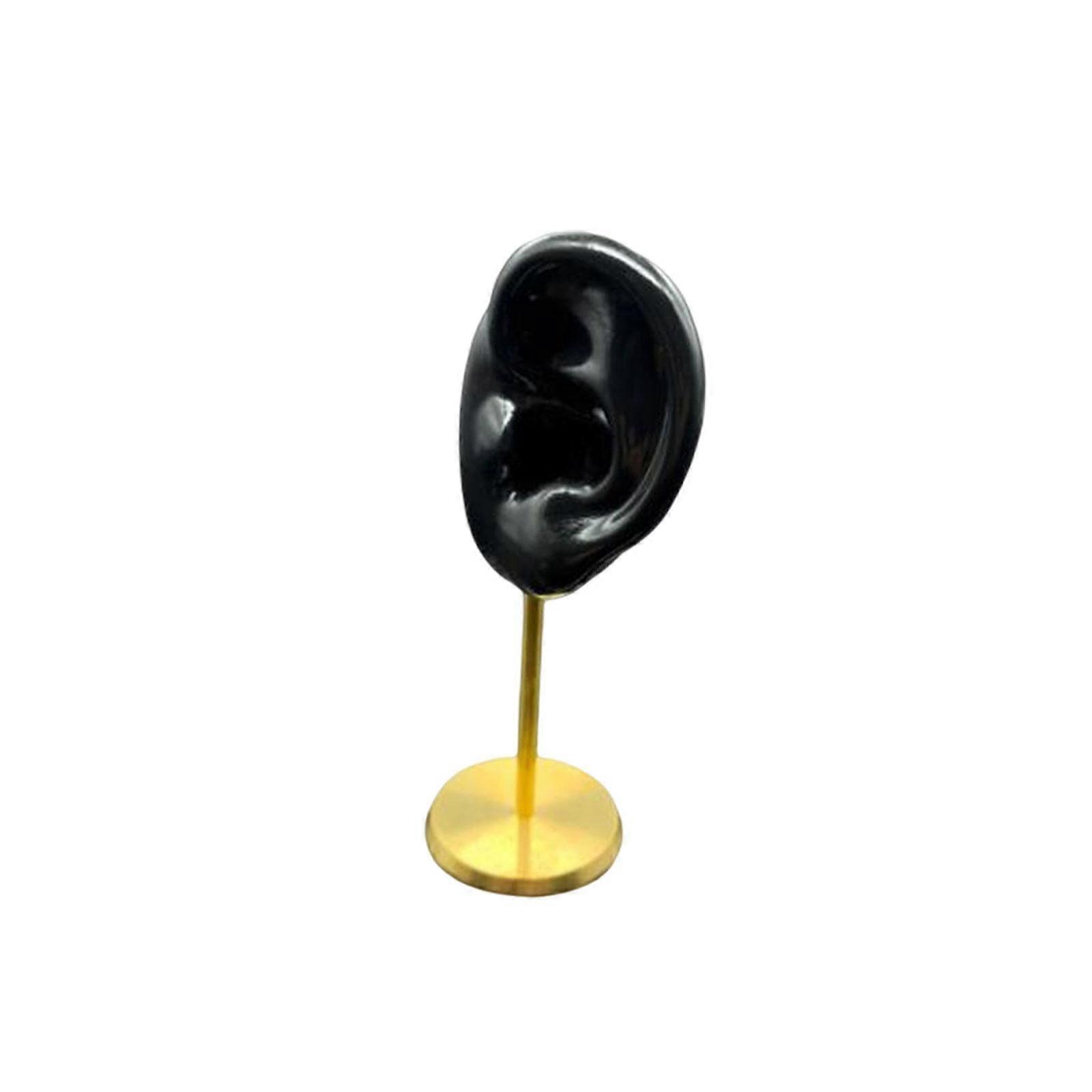 Earring Display Stand Human Ear Model Durable Teaching Tools Storage Rack for