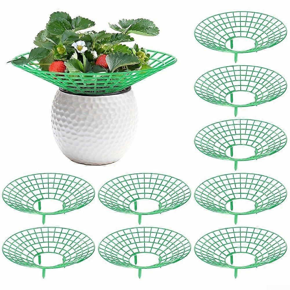 Strawberry support system with 10 stands for enhanced growth protection, suitable for various plant species.