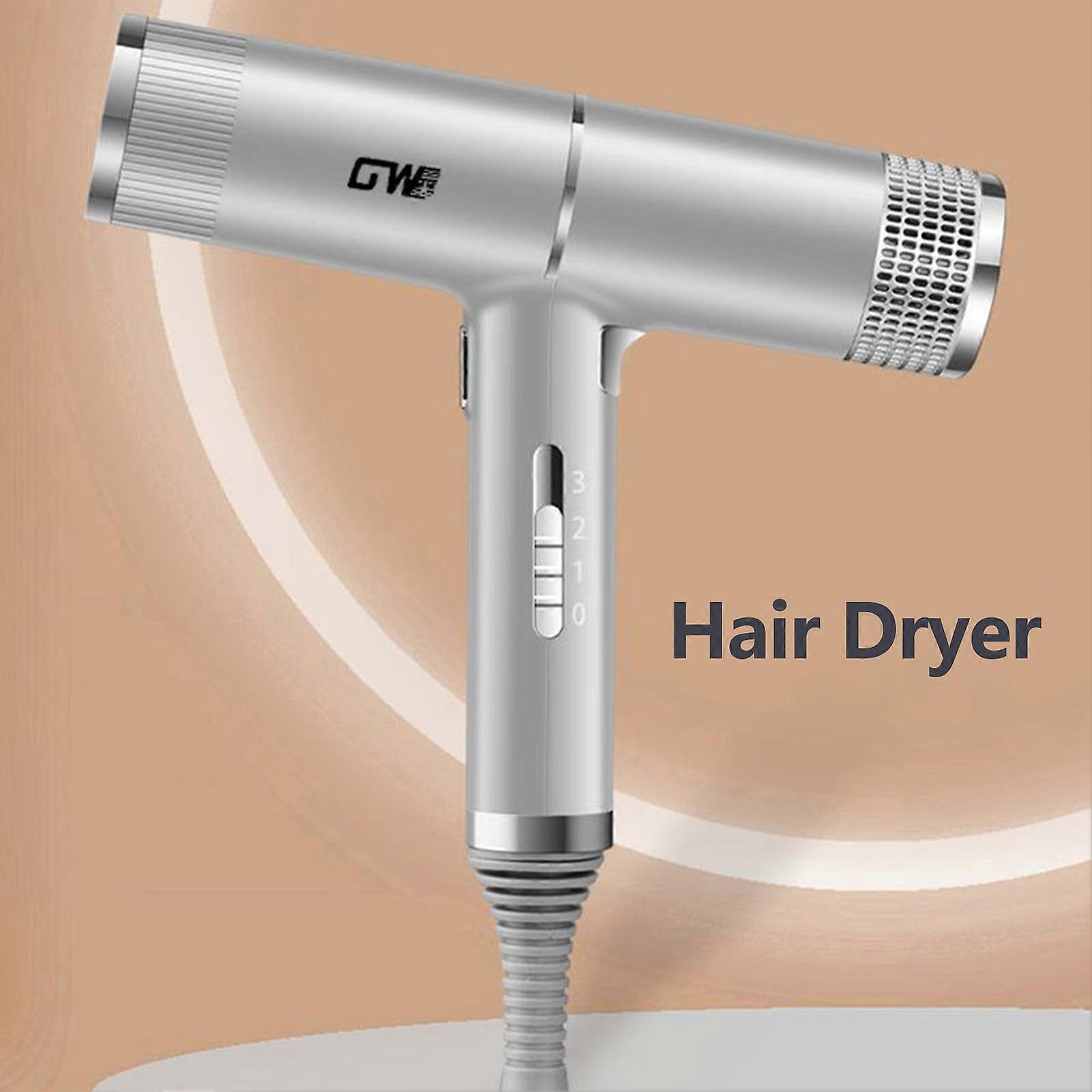 Hair Dryer Three Gears Adjustment Low Noise Overheating Protection with 3 Nozzles Anion Hair Care