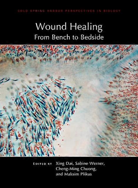 Wound Healing From Bench To Bedside Hardback Book