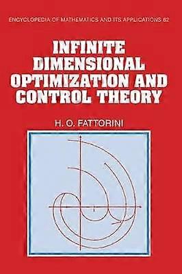Infinite Dimensional Optimization and Control Theory